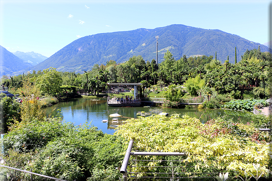 foto Giardini Trauttmansdorff - Giardini acquatici